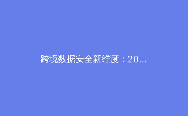 跨境数据安全新维度：2024年企业级VPN技术趋势与隐私保护战略解析 - 3