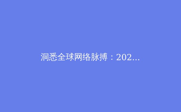 洞悉全球网络脉搏：2024年VPN技术趋势与安全上网深度解析 - 4