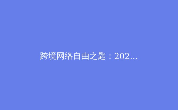 跨境网络自由之匙：2024年VPN技术演进与合规使用深度解析 - 3
