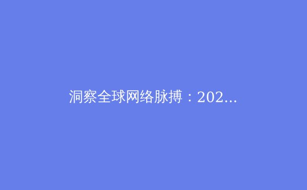 洞察全球网络脉搏：2024年VPN技术演进、政策环境与隐私保护深度解析 - 2