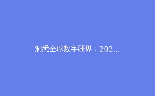 洞悉全球数字疆界：2024年VPN技术演进与合规使用深度解析