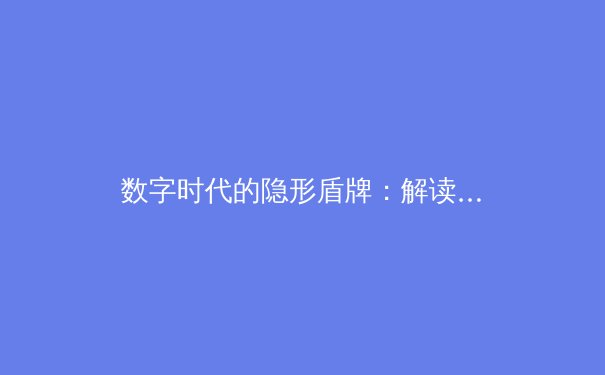 数字时代的隐形盾牌：解读VPN演进、核心技术与未来趋势 - 2